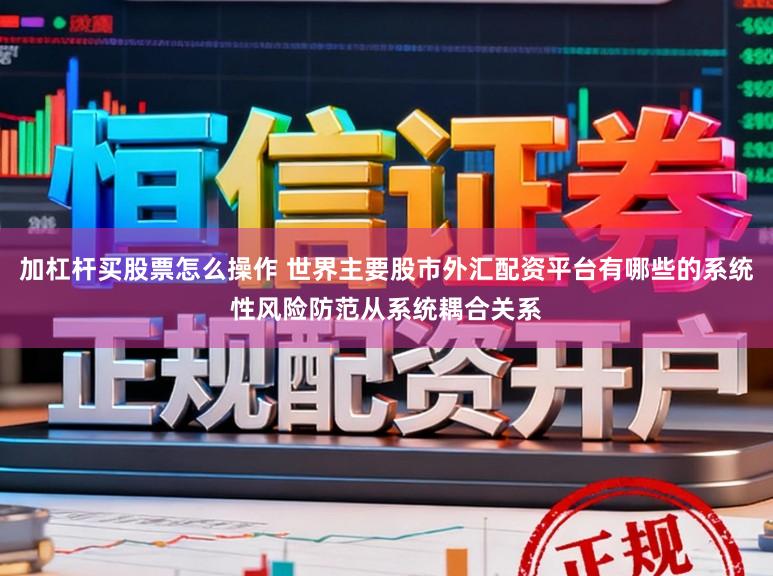 加杠杆买股票怎么操作 世界主要股市外汇配资平台有哪些的系统性风险防范从系统耦合关系