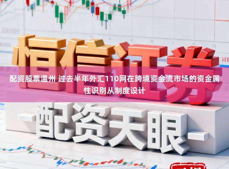 配资股票温州 过去半年外汇110网在跨境资金流市场的资金属性识别从制度设计